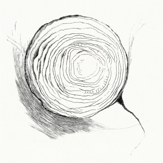 Interior 3 | etching | 2017 | 21x21cm